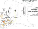 Fender S 1 Wiring Diagram Left Handed Fender Strat Wiring Diagram Wiring Diagram for You