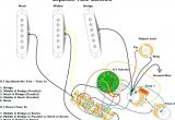 Fender S1 Switch Wiring Diagram Fender Wiring Schematics Wiring Diagram