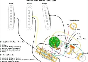 Fender S1 Switch Wiring Diagram Fender Wiring Schematics Wiring Diagram