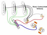 Fender Scn Pickups Wiring Diagram Wiring Diagram for Strat Wiring Diagram Standard