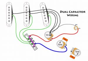 Fender Scn Pickups Wiring Diagram Wiring Diagram for Strat Wiring Diagram Standard Fender Scn Pickups Wiring Diagram Wiring Diagram for Strat Wiring Diagram Standard
