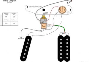 Fender Squier Bass Wiring Diagram Fender Squier P Bass Wiring Diagram Fender Squier Bass Wiring Diagram Fender Squier P Bass Wiring Diagram