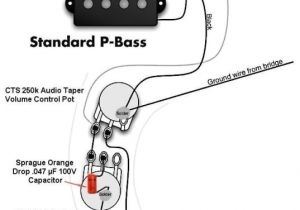 Fender Squier Bass Wiring Diagram Squier P Bass Wiring Diagram