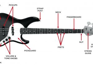 Fender Squier Jazz Bass Wiring Diagram Fender Squier Jazz Bass Wiring Diagram Best Of Stratocaster Guitar