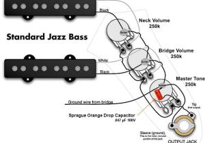 Fender Squier Jazz Bass Wiring Diagram Jazz Bass Wiring Diagram Wds Wiring Diagram Database