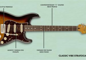 Fender Squier Jazz Bass Wiring Diagram Squier Stratocaster A Buying Guide Fender Guitars