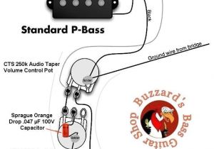 Fender Squier P Bass Wiring Diagram P B Wiring Diagram Blog Wiring Diagram