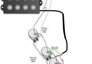 Fender Squier P Bass Wiring Diagram Squier P Bass Wiring Diagram Wiring Diagram