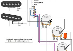 Fender Strat 5 Way Switch Wiring Diagram Strat Style Guitar Wiring Diagram