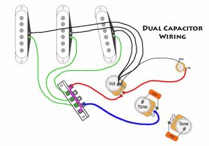 Fender Strat Pickup Wiring Diagram Fender Stratocaster Wiring Diagrams Diagram Base Website