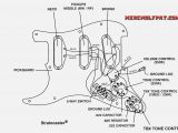 Fender Strat Wiring Diagram Fender American Standard Wiring Diagram Wiring Diagram Rows Fender Strat Wiring Diagram Fender American Standard Wiring Diagram Wiring Diagram Rows