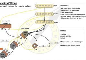 Fender Strat Wiring Diagram Fender Strat 3 Way Switch Wiring Diagram Wiring Diagram Expert