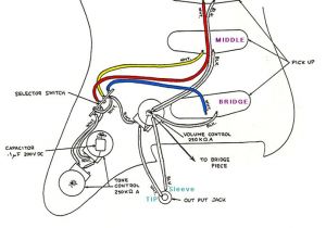 Fender Strat Wiring Diagram Wiring Diagram for Fender Strat Wiring Diagram Fascinating