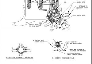 Fender Stratocaster Wiring Diagram Fender Deluxe P B Wiring Diagram Wiring Diagrams