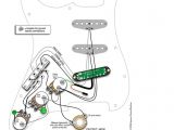 Fender Stratocaster Wiring Diagram Standard Fender Wiring Diagrams Wiring Diagram Show