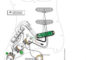 Fender Stratocaster Wiring Diagram Standard Fender Wiring Diagrams Wiring Diagram Show