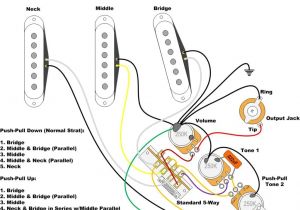 Fender Stratocaster Wiring Diagram Wiring Diagram for Fender Strat Wiring Diagram