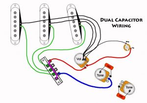 Fender Stratocaster Wiring Diagrams Fender Wire Diagram Wiring Diagram Schema