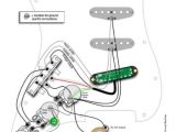 Fender Texas Special Pickups Wiring Diagram Ssl Wiring Diagram Blog Wiring Diagram