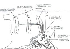Fender Vintage Noiseless Pickups Wiring Diagram Fender Noiseless Pickup Wiring Diagram Schematic Wiring Diagram Query