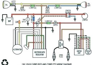 Fiero Wiring Diagram 81 Suzuki 650 Wiring Diagram Wiring Diagram Datasource