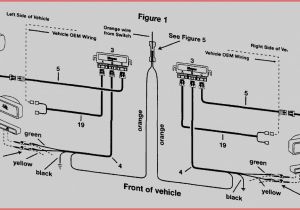 Fisher Snow Plow Wiring Diagram Pdf Fisher Plow Wiring Diagram Mm2 Ecourbano Server Info