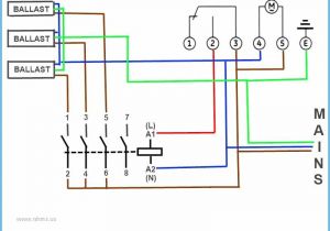 Fjr1300 Wiring Diagram Contactor Wiring Diagrams Free Download Wiring Diagram Schematic