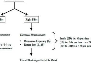 Flasher Relay Wiring Diagram Turn Signal Wiring Diagram New Wiring Diagram Flasher Relay Light Flasher Relay Wiring Diagram Turn Signal Wiring Diagram New Wiring Diagram Flasher Relay Light