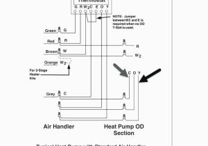 Flasher Wiring Diagram 12v Flasher Wiring Diagram 12v Luxury Funky 12 Volt Flasher Wiring Flasher Wiring Diagram 12v Flasher Wiring Diagram 12v Luxury Funky 12 Volt Flasher Wiring