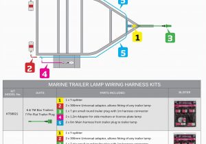 Flat Trailer Plug Wiring Diagram Race Trailer Wiring Online Wiring Diagram