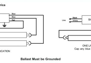 Fluorescent Lamp Wiring Diagram Pdf Wiring Diagram for T8 2 Lamp Wiring Diagram Name Fluorescent Lamp Wiring Diagram Pdf Wiring Diagram for T8 2 Lamp Wiring Diagram Name