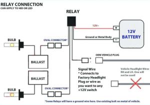 Fog Light Wiring Diagram with Relay Hid Light Relay Diagram Wiring Diagram Meta
