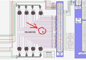 Ford 6.0 Ficm Wiring Diagram ford Excursion Injector Wiring Diagram Wiring Schematic