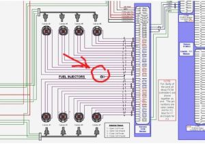 Ford 6.0 Ficm Wiring Diagram ford Excursion Injector Wiring Diagram Wiring Schematic