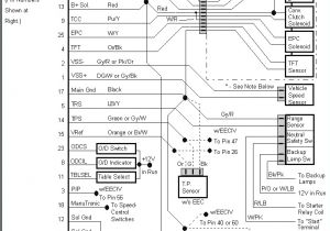 Ford E350 Wiring Diagram 89 ford E 350 Wiring Diagrams Wiring Diagram Center Ford E350 Wiring Diagram 89 ford E 350 Wiring Diagrams Wiring Diagram Center