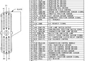 Ford F150 Stereo Wiring Harness Diagram Diagram Gm Wiring Harness Diagram for Pcm Full Version Hd