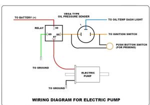 Ford Fuel Pump Relay Wiring Diagram Nhra Fuel Pump Relay Wiring Diagram Wiring Diagram List