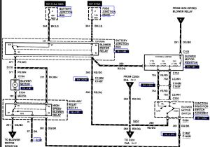 Ford Ka Heater Control Valve Wiring Diagram ford Heater Wiring Diagram Wiring Diagrams Favorites