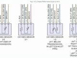 Ford O2 Sensor Wiring Diagram 4 Wire Sensor Diagram Wiring Diagram Expert