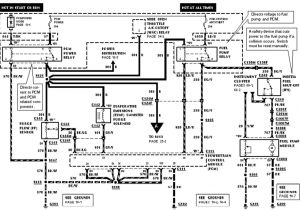 Ford Ranger Wiring Harness Diagram Wiring Diagram for 1996 ford Ranger Wiring Diagram Term