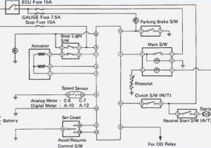 Ford Starter Relay Wiring Diagram Wiring Diagram Shovelhead Relay Wiring Diagram Data Ford Starter Relay Wiring Diagram Wiring Diagram Shovelhead Relay Wiring Diagram Data