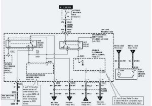 Ford Tail Light Wiring Diagram ford F 350 Trailer Wiring Diagram Wiring Diagram Posts for Option