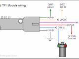 Ford Tfi Module Wiring Diagram Pip Wiring Diagram Wiring Diagram Technic Ford Tfi Module Wiring Diagram Pip Wiring Diagram Wiring Diagram Technic