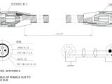 Ford Trailer Plug Wiring Diagram Plug Truck Wiring Diagram Wiring Diagram Standard