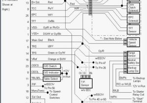 Ford Truck Wiring Diagrams ford Wiring Diagrams Inspirational 2004 Dodge Ram Pcm Impressive Ford Truck Wiring Diagrams ford Wiring Diagrams Inspirational 2004 Dodge Ram Pcm Impressive