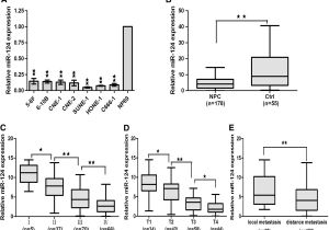 Fpz Blower Wiring Diagram Mir 124 Suppresses Tumor Growth and Metastasis by Targeting Foxq1 In Fpz Blower Wiring Diagram Mir 124 Suppresses Tumor Growth and Metastasis by Targeting Foxq1 In