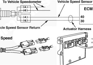 Freightliner Speedometer Wiring Diagram We are Running Cummins ism Diesel Engines In Our 2002 Freightliner Freightliner Speedometer Wiring Diagram We are Running Cummins ism Diesel Engines In Our 2002 Freightliner