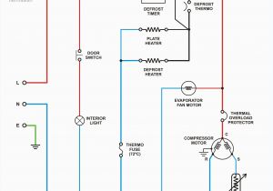 Fridge Relay Wiring Diagram Fridge Relay Wiring Diagram Best Of Ptc Relay Wiring Diagram Wire