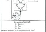 Fridge Relay Wiring Diagram Wiring Diagram Of Refrigerator Pdf Wiring Diagram Official