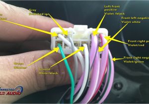 Fujitsu Ten Car Audio Wiring Diagram Fujitsu Ten toyota Jbl Wiring 1998 Data Schematic Diagram Fujitsu Ten Car Audio Wiring Diagram Fujitsu Ten toyota Jbl Wiring 1998 Data Schematic Diagram